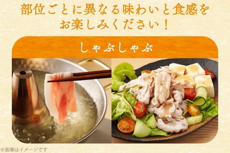 豚肉 バラエティ セット 計1.5kg 6回 定期便 [司フーズ・システム 兵庫県 三田市 3d28bdy500019]