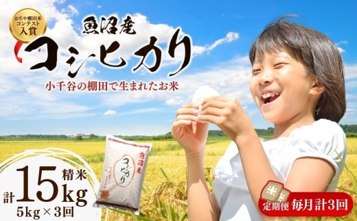 【注文後に精米する新鮮発送！】棚田米コンテスト入賞 令和7年産 魚沼産コシヒカリ 定期便 5kg×3回【計15kg】毎月発送｜3か月連続 新潟県産 こしひかり お米 白米 精米したて 寒暖差 雪解け水 甘み 生産者厳選 数量限定 小千谷市 ブランド米【0002-RC03DB00-03】