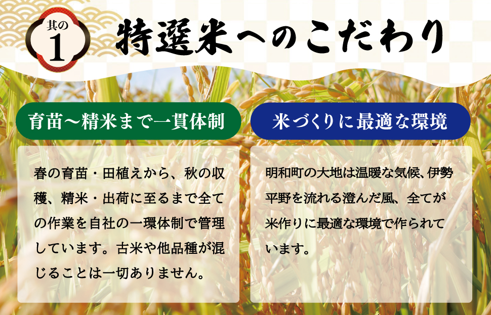 (有)松幸農産 特選米 20kg セット コシヒカリ お米 おこめ 三重県産 送料無料 5kg×4袋 小分け 冷めてもおいしい ふるさと納税 ふるさと 米 コメ こめ ギフト プレゼント 人気 お取り