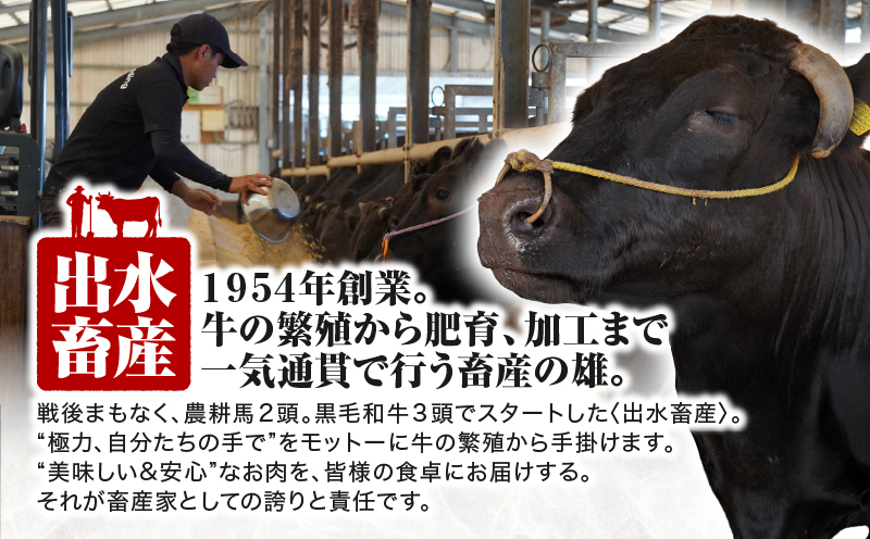 114-1 鹿児島県産黒毛和牛特上切り落とし 1.5kg入　KN019-005