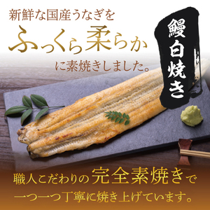 食べ切りサイズ！国内産うなぎの白焼(酒蒸し)100～120g 5尾　計500g以上|うなぎ 鰻 白焼 酒蒸し 食べ切り 茨城県 行方市（AD-71-3）