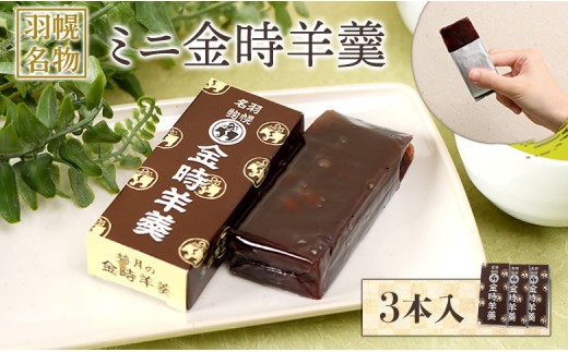 
                  羽幌名物 ミニ金時羊羹3本入 | 金時 羊羹 計3本 老舗 梅月 ようかん 和菓子 全国菓子博覧会 金賞受賞 小豆 あずき スイーツ グルメ ご当地 取り寄せ お土産 北海道 羽幌町 羽幌【1110901】
                