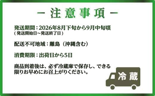 【先行予約・8月下旬より発送】山武市産　シャインマスカット  SMAP001