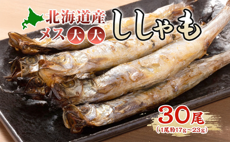 ししゃも魚貝類北海道産メス大大干物ししゃも【30尾】