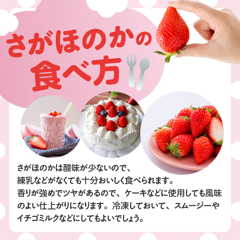 ★予約受付★杉山いちご農園 佐賀県玄海町産「さがほのかDX」毎月定期便 さがほのかDX定期便