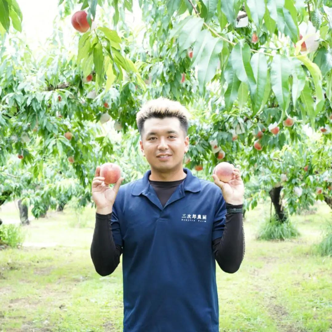 先行予約 白桃 約5kg 令和8年度 贈答用桃 新潟県三条市産 桃 三次郎農園