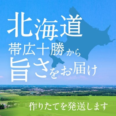 【2023年7月より発送・先行受付】帯広メロン・2玉　北海道　赤肉メロン　フルーツ　産直