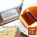 【ふるさと納税】【定期便】濃厚プリン New Pudding（ニュープディング）（500g×1本）×2ヶ月【be152-0931-100-2】