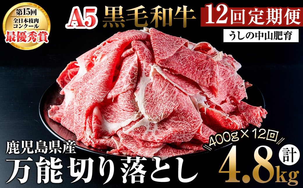 
            【定期便全12回】＜A4・A5等級＞黒毛和牛堪万能切り落とし肉 計4.8kg(400g×1P・全12回) 黒毛和牛 和牛 切り落とし 肉 牛肉 国産 九州産 鹿児島県産 すき焼き しゃぶしゃぶ 牛丼 小分け A5 日本一 ランキング 人気 定期便 t0144-001
          