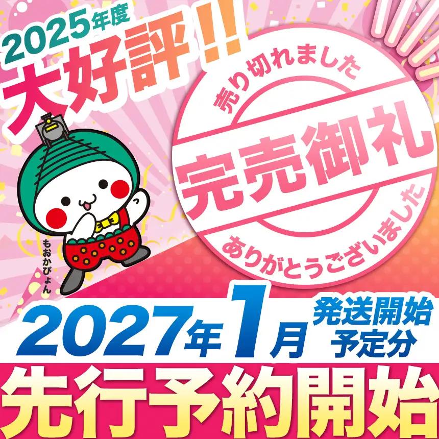 いちご　とちあいか　約250g×4パック　【2027年 先行予約】朝採れいちご 