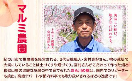 桃 もも 「あら川の桃」 特秀品  3個入 マルミ農園 《6月上旬-8月下旬頃出荷》 先行予約 和歌山県 紀の川市