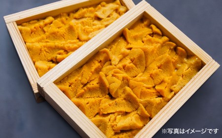 【無添加・ミョウバン不使用・7月末～9月初旬発送予定】淡路島の極上ウニ！天然赤ウニ（板入1枚）