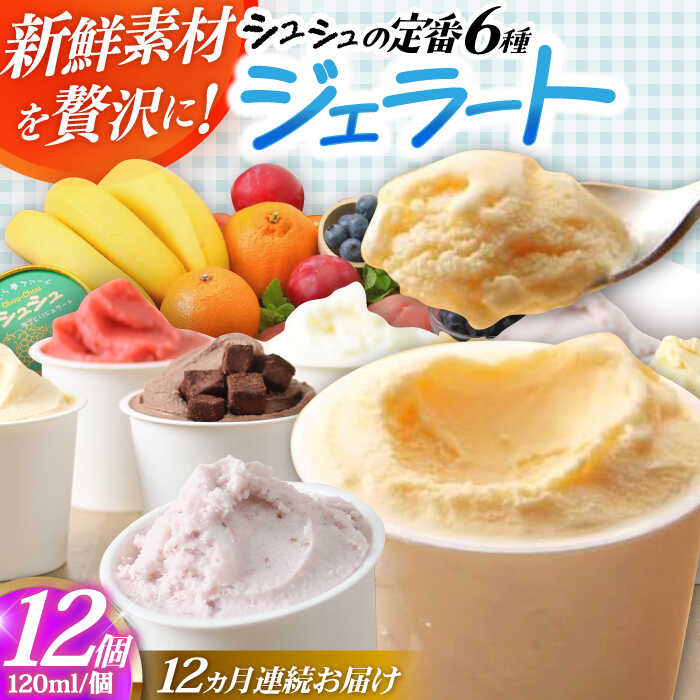 【ふるさと納税】【12回定期便】シュシュ 定番ジェラート12個セット / アイス アイスクリーム ジェラート スイーツ / 大村市 / おおむら夢ファームシュシュ[ACAA416]