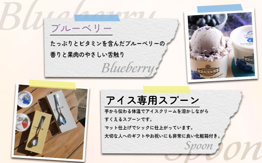 アイスクリーム VANAGAプレミアムご当地アイス12個とアイス専用スプーン（シルバー1本）の13点セット | アイスクリーム アイス 濃厚 バニラ デザート アイス 12個 12個入り セット 詰め
