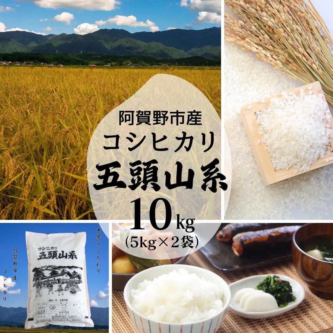 【令和7年産】「米屋のこだわり阿賀野市産」コシヒカリ 10kg  新潟県 米 こめ コメ 白米 精米 1E02035