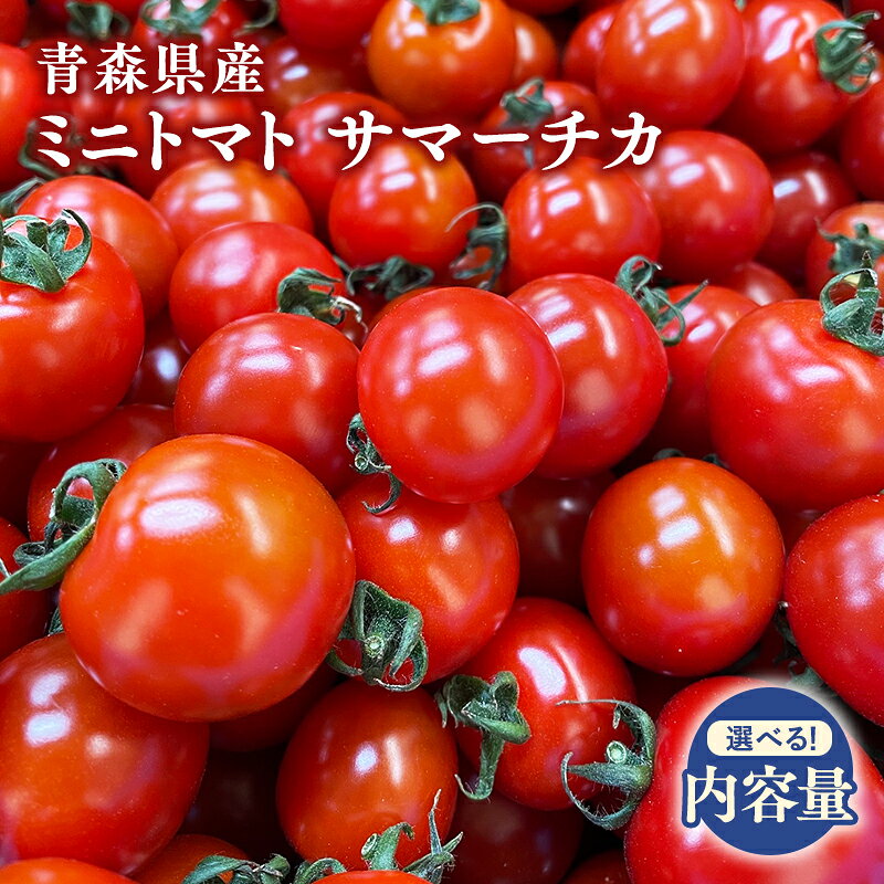 【ふるさと納税】 ≪内容量が選べる≫ 7月中旬発送予定！ 青森県産 ミニトマト サマーチカ 約3kg 約6kg 約9kg 【 青森県 平川市 HKC project 】 ミニトマト プチトマト 薄皮 フルーティー 新鮮野菜