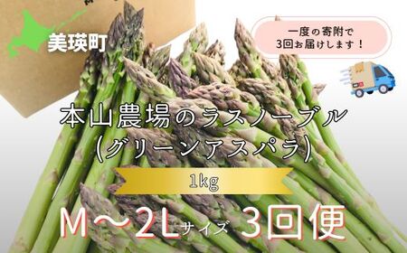 【令和9年産先行予約】アスパラガス M～2Lサイズ 1kg 3回便 北海道 美瑛町幻のアスパラ 本山農場 ラスノーブル グリーンアスパラ  [042-17]
