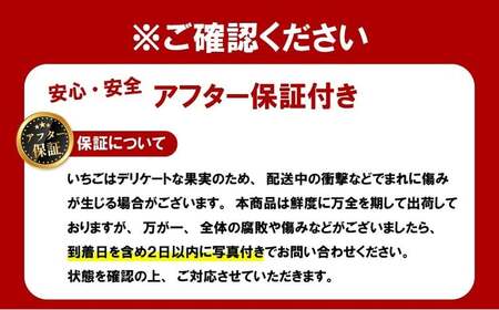 いちご 古都華 約250g×2パック【2026年1月～発送予定】