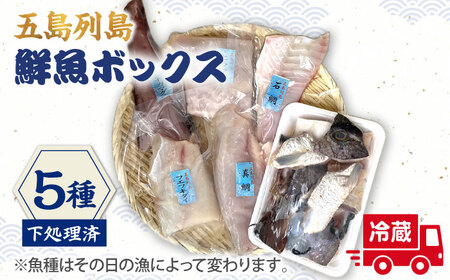 【下処理済_冷蔵】五島列島鮮魚ボックス5種【ShiningFoods】[RBR001] 鮮魚 鮮魚セット 魚 鮮魚 鮮魚セット 魚 鮮魚 鮮魚セット 魚 鮮魚 鮮魚セット 魚 鮮魚 鮮魚セット 魚