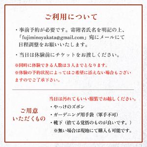 藤箕(小箕)作り体験 2人  富山県 氷見市 体験 伝統技術 少人数