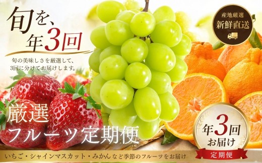 旬のフルーツ定期便食べ比べ (シャインマスカット/イチゴ/不知火)計3回【フルーツ定期便／3回】| フルーツ定期便 フルーツ 定期便 旬のフルーツ定期便 フルーツ 果物 くだもの いちご 苺 でこぽん デコポン しらぬい シャインマスカット しゃいんますかっと 定期便 豊後高田市