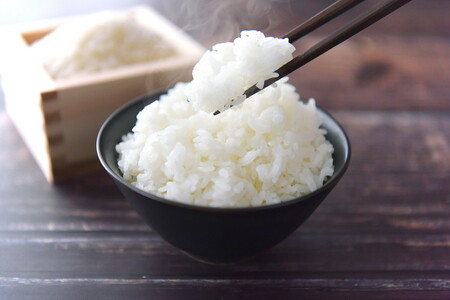 【R7年産新米】石墨清流米 特別栽培米 コシヒカリ 5kg ｜ 減化学肥料 減農薬 令和7年度産 愛媛県久万高原町 米 ※離島への配送不可 ※2025年10月上旬頃より順次発送予定