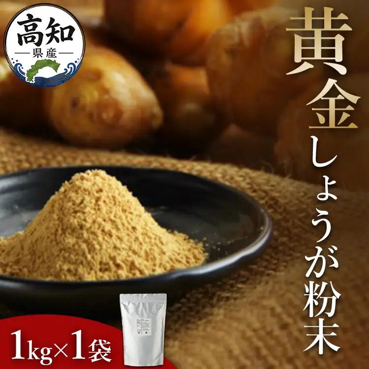 黄金しょうが粉末 1kg 生姜 ジンジャー のし対応不可 数量限定 ジンジャーパウダー 生姜粉末 からだぽかぽか 冷え症対策 国産 特産品 しょうが ショウガ 高知県産 野菜 坂田信夫商店 高知県 香南市 常温 Xnb-0010