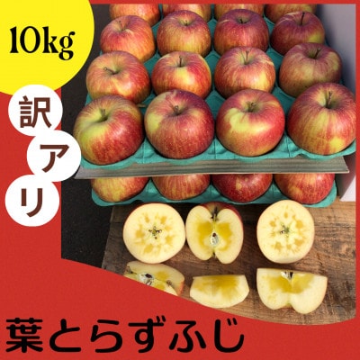 りんご 完熟葉とらずふじ 10kg (家庭用)【配送不可地域：離島】【1181955】