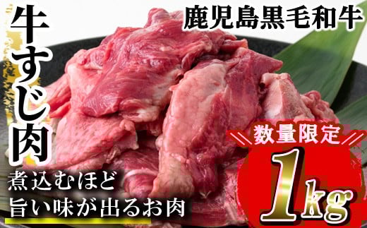 
            【数量限定】鹿児島県産 黒毛和牛 牛すじ 1kg（500g×2P）A4等級以上！冷凍 小分け 国産 鹿児島県産 の 黒毛和牛 牛すじ カレー おでん にもおすすめ【L-005H】
          