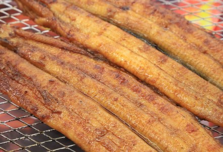 【愛知県三河一色産】活うなぎの蒲焼き 1尾（約150g）（10-70）