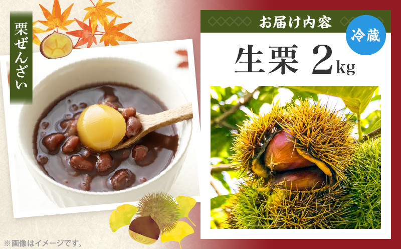高千穂・ひのかげくり