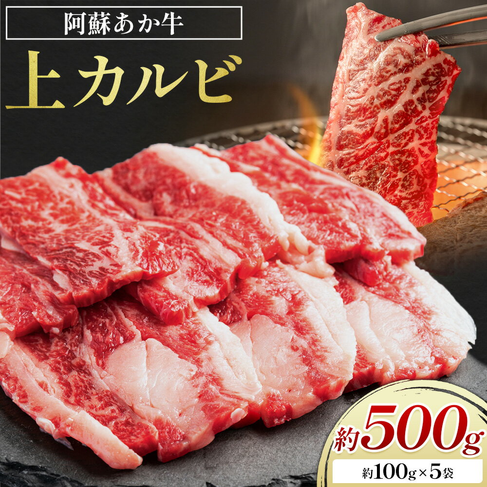 【ふるさと納税】阿蘇あか牛 上カルビ 合計約500g 約100g×5袋 株式会社LARKS《30日以内に出荷予定(土日祝除く)》お肉 和牛 あか牛 焼肉 熊本県産 九州産 国産 冷凍 送料無料