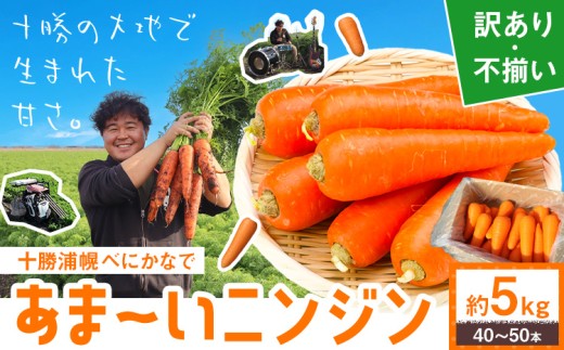甘～いニンジン 十勝 浦幌べにかなで 【訳あり・不揃い】 約5kg 40～50本 農事組合法人レギューム《12月上旬から5月上旬頃出荷》北海道 浦幌町 人参 にんじん 安心 安全 野菜 お野菜 やさい 紅奏 シャキシャキ 甘い