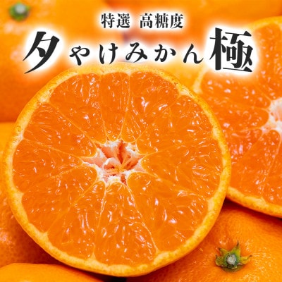 【夕やけブランド】ぷるぷる食感【まどんな】+【夕やけみかん】各2kgセット【C49−23】【1416636】