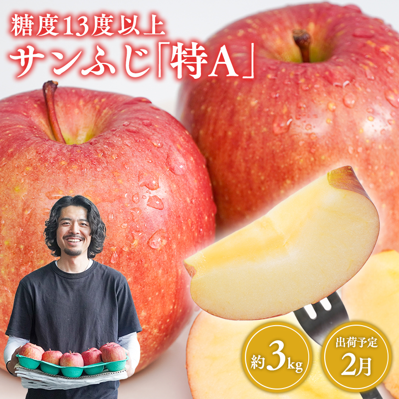 2月 サンふじ約3kg 糖度13度以上【平川市・ 森山商店】