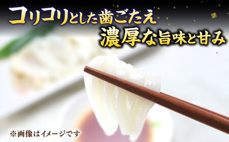旬のイカ刺身1kg前後《壱岐市》【馬渡水産】イカ いか 烏賊 剣先 アオリ あおり スルメ するめ 刺身 刺し身 お刺身 海鮮 魚貝 冷凍配送 産地直送[JAQ027]