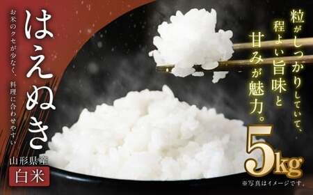 【令和7年産新米】〈白米〉はえぬき 5kg ＜1回のお届け＞  山形県産 新米 お米 【2025年11月上旬発送開始予定】