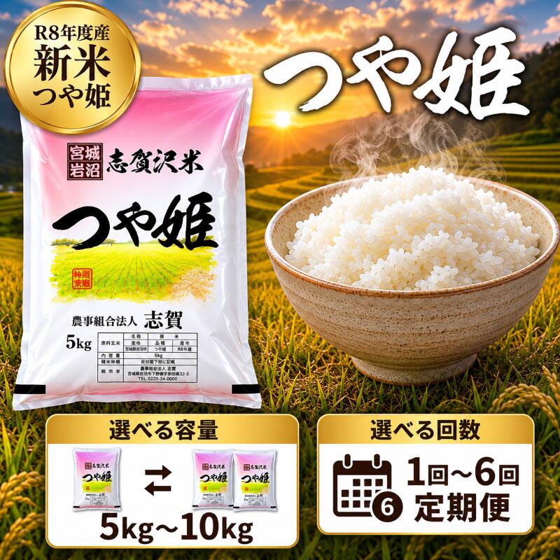 【ふるさと納税】 令和8年産 新米 つや姫 [選べる容量/回数] おこめ お米 白米 精米 つやひめ コメ ライス ごはん ご飯 国産米 ブランド米 特A ツヤ もちもち 高級 おべんとう 弁当 おにぎり 甘み コク 食味 毎日の食卓 冷めてもおいしい 志賀沢米 岩沼産米 宮城
