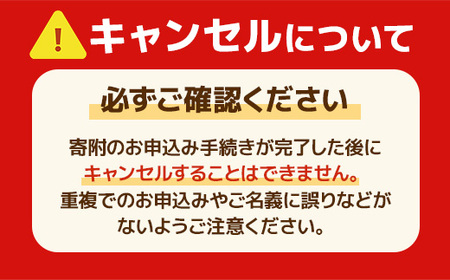 暖家のいちご　完熟あまおう　贈答用4パック　AB002