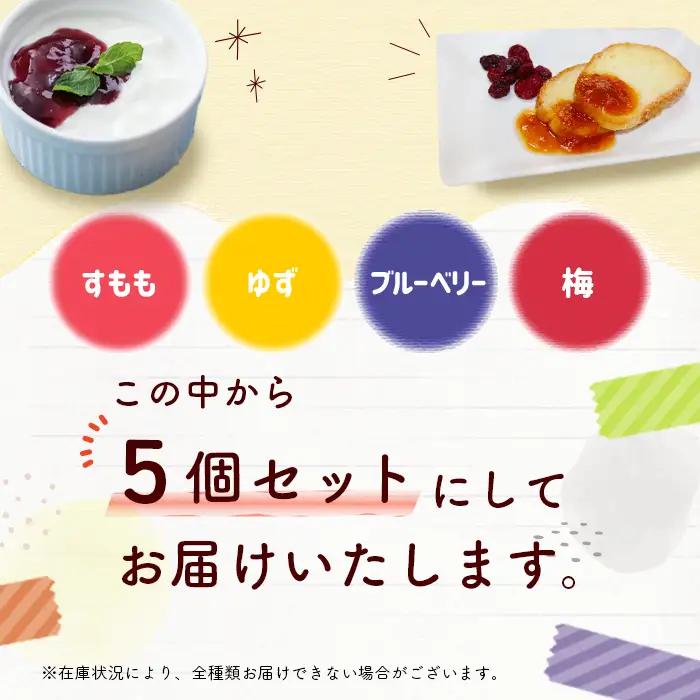 田峯手作りジャム 5個セット ジャム -021