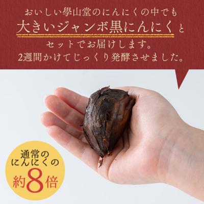 ふるさと納税 肝付町 <先行受付中!>學山堂の黒にんにくミックス(計900g)　B69001 |  | 01