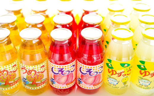 A-995 ゆずっこセット