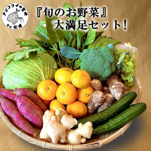 道の駅松浦海のふるさと館『旬のお野菜』の大満足セット！( 野菜 やさい 旬 おいしい 野菜セット )【A7-053】