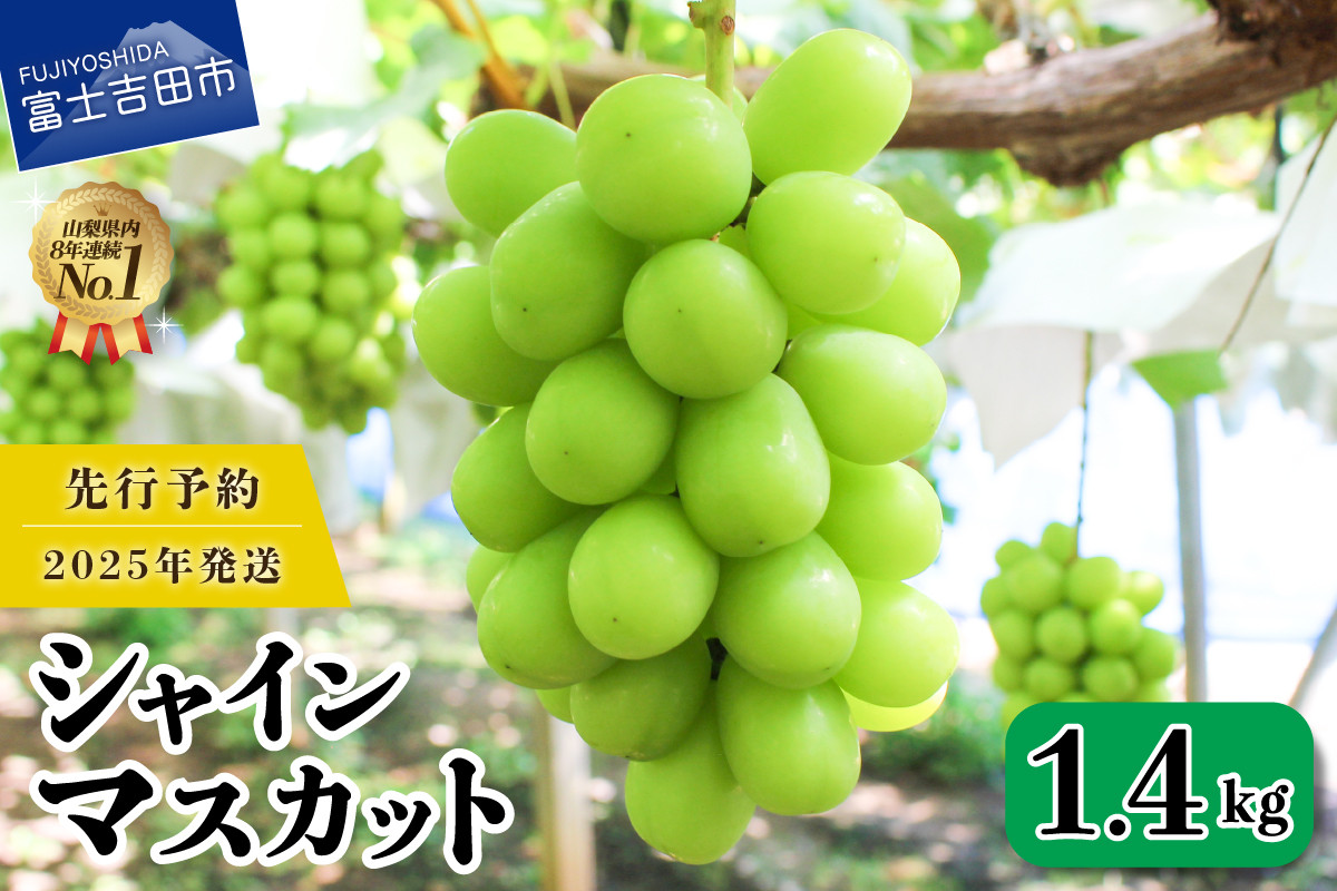 【フルーツ王国】 山梨県産 シャインマスカット 先行予約 約1.4kg(2～3房)