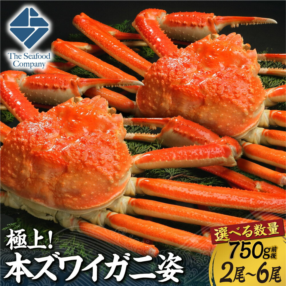 【ふるさと納税】 本ズワイ蟹 姿 【 選べる 数量 】 2尾 4尾 6尾 750g前後 極上 ほんずわいがに 蟹 カニ 希少 濃厚 ミソ 蟹みそ かに味噌 お取り寄せ グルメ 海鮮 水産 魚介 冷凍 厳選 北海道 札幌市