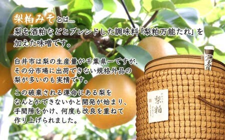 梨粕みそ漬け 鮮魚5種Bセット 銀だら 金目鯛 カレイ 銀鮭 いか 切り身 70g×5種 骨取り 漬け魚 個包装 焼き方ガイド付き 冷凍