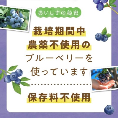 ブルーベリージャム 250g×4個