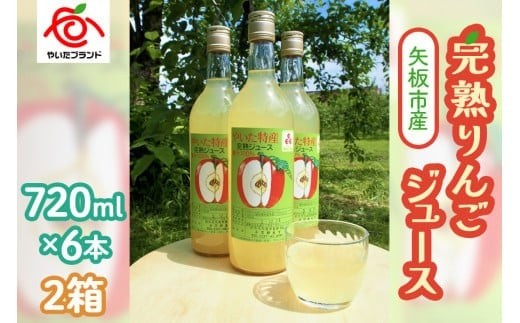 【定期便12回】 矢板市産 完熟りんごジュース《720ml×6本 2箱》｜林檎 リンゴ 果汁100% 産地直送 (毎月お届け）  