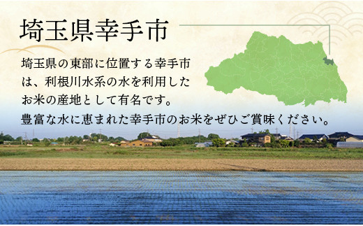 レンゲ米　こしひかり　無洗米・精米　4.5kg×2袋 - コシヒカリ 無洗米 9kg 便利 時短 埼玉県 幸手市 幸手市産