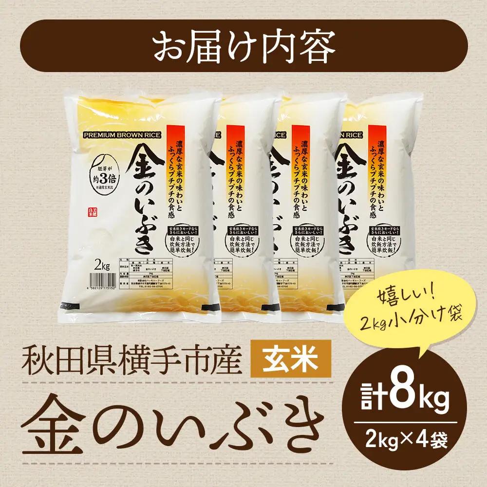 【玄米】米 金のいぶき 8kg(2kg×4袋) 令和7年産